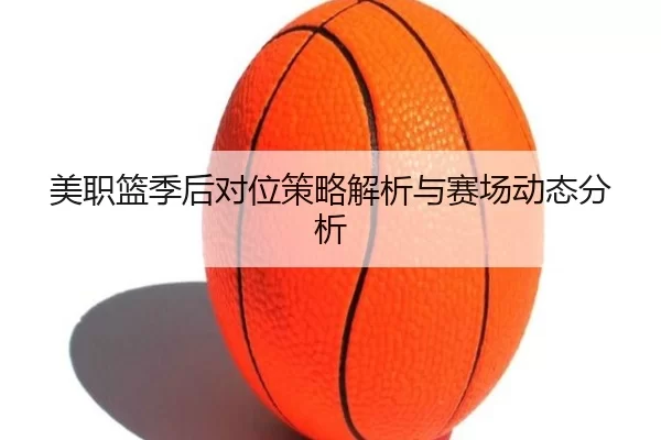 美职篮季后对位策略解析与赛场动态分析